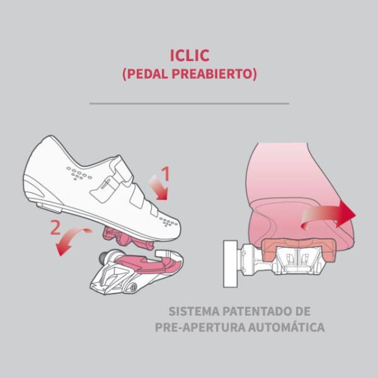 Pedal Time Xpresso 7